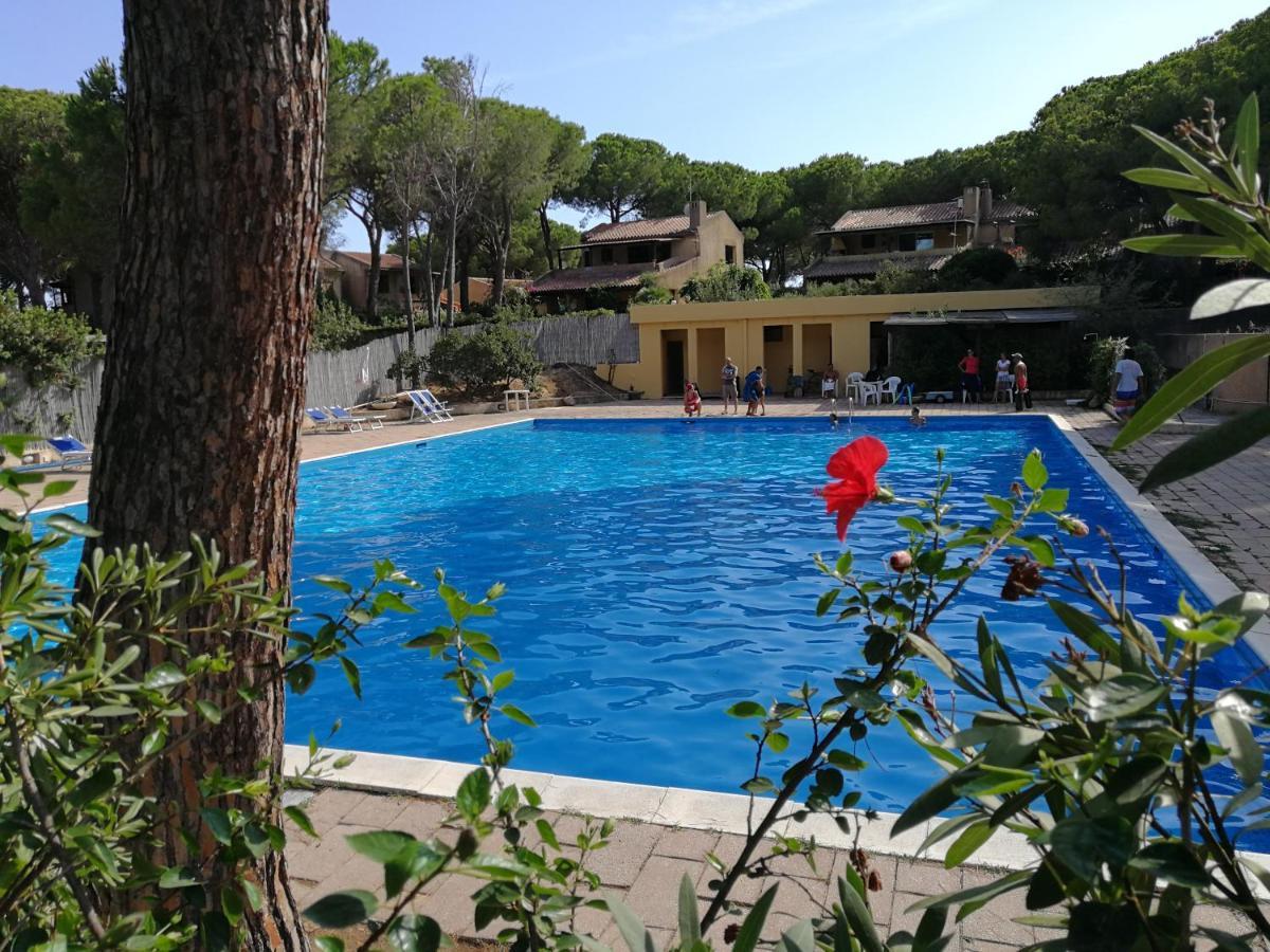 Deliziosa Villetta Sul Mare Appena Ristrutturata Pula Exterior photo